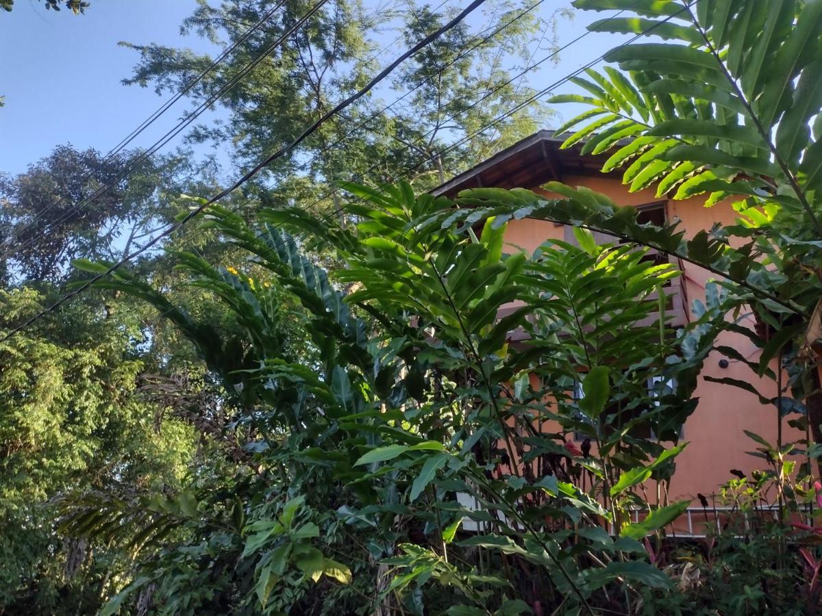 Flat Prumirim Ubatuba Kültér fotó